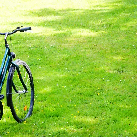 酒店 法兰克福多梅洛酒店