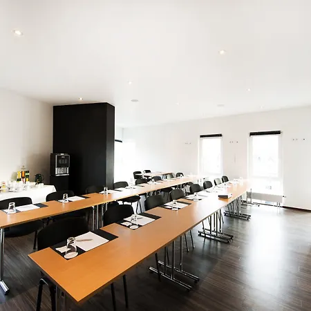 法兰克福多梅洛酒店 4* 美因河畔法兰克福