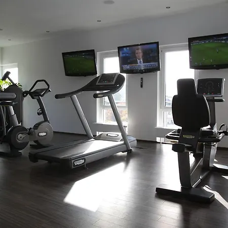 法兰克福多梅洛酒店 4* 美因河畔法兰克福